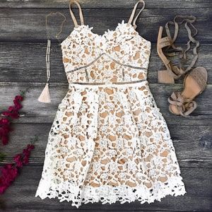 Lace Fit Flare White Short Dress Crochet Nude
